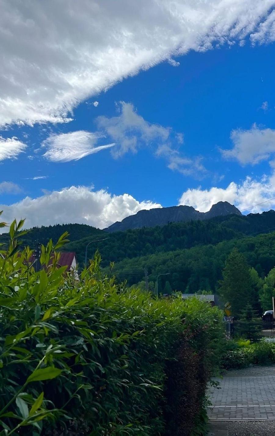 Appartamento Dom Lesnik Zakopane Esterno foto