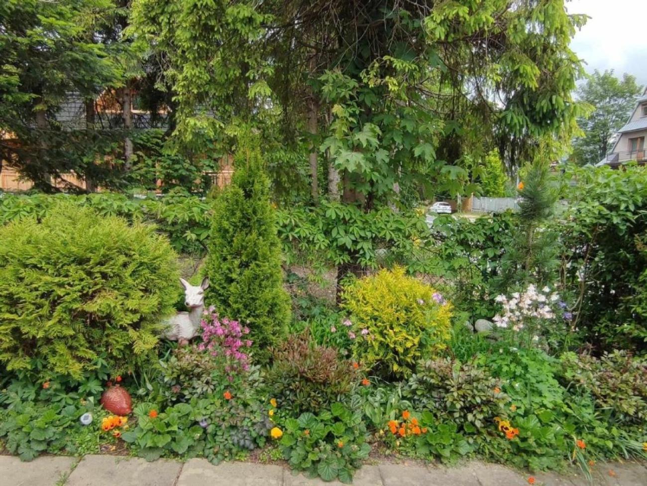 Appartamento Dom Lesnik Zakopane Esterno foto