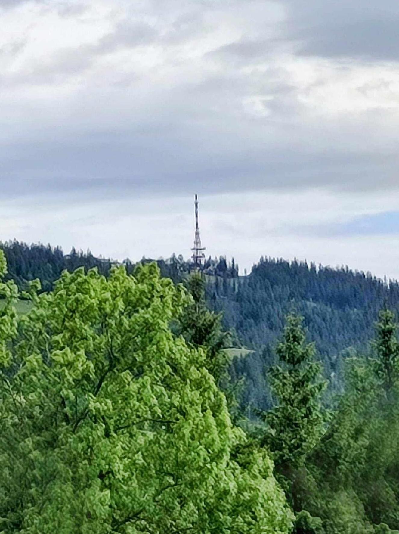 Appartamento Dom Lesnik Zakopane Esterno foto